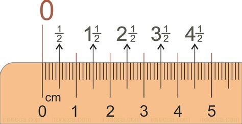 40mm on a ruler